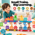 Farm Animal Train Toy